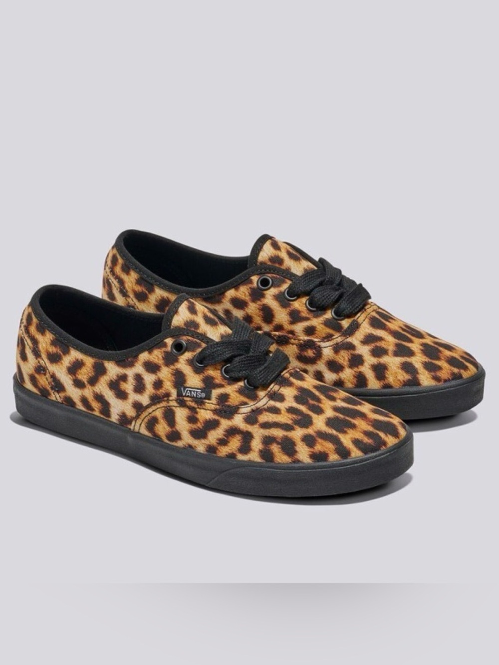 Vans Leopard Authentic Low Pro